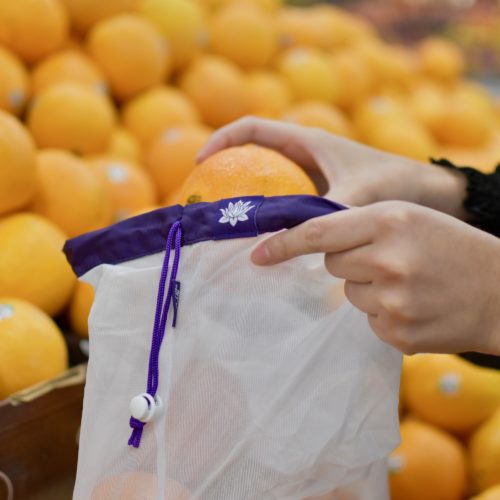 Lotus Produce Bag with Oranges