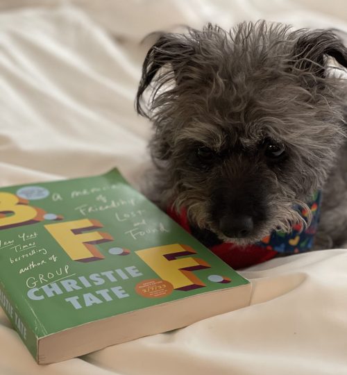 Salt and pepper dog sits next to the book BFF, written by Christie Tate